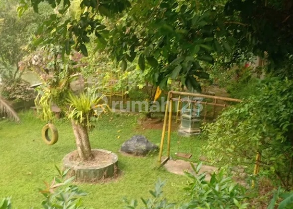 Bonus Land with Beautiful Villa, Fish Pond, Suitable for Villa Rental Business, Strategic Location Near Puncak in Parung, Bogor.