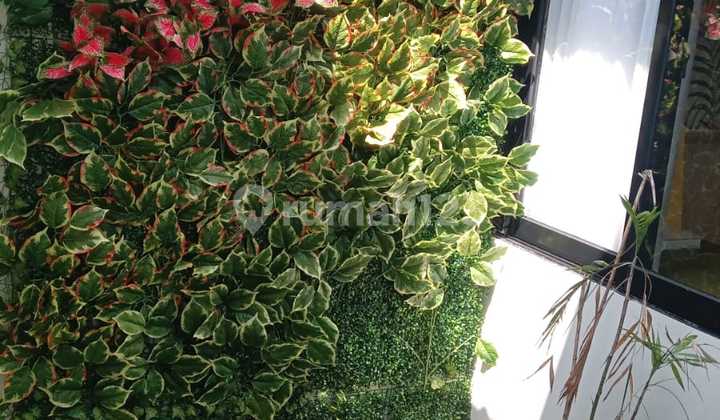 Rumah Moderen 2 Kamar Tidur Bebas Banjir Dekat Pintu Tol Dan Stasiun Krl Di Sasak Panjang Bogor Rumah Moderen 2 Kamar Tidur Bebas Banjir Dekat Pintu Tol Dan Stasiun Krl Di Sasak Panjang Bogor