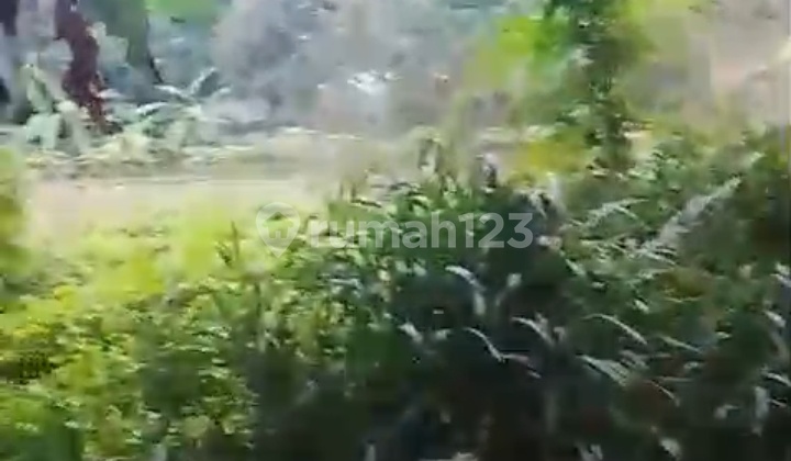 Dijual Murah Tanah 5000 Meter Cocok untuk Perumahan Strategis Bebas Banjir di Pinggir Jalan Raya di Rempoa Ciputat Timur Tangerang Selatan