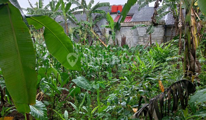 Dijual Murah Tanah 435 Meter SHM Bebas Strategis Dekat Pintu Tol Sawangan di Pasir Putih Sawangan Depok