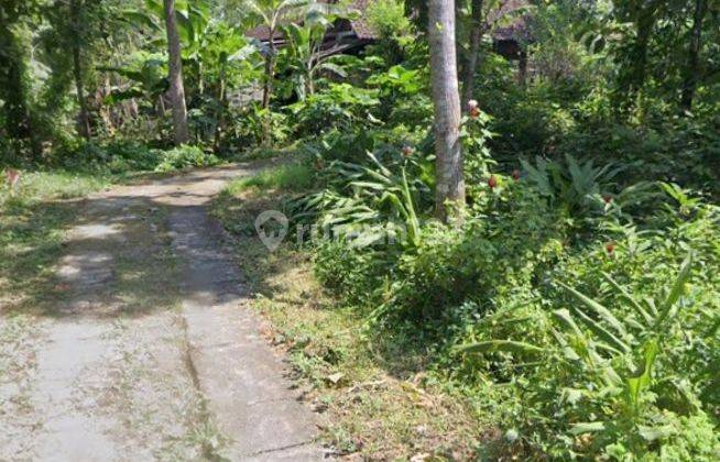 Dijual tanah SHM pekarangan di Selatan candi ratu Boko Prambanan