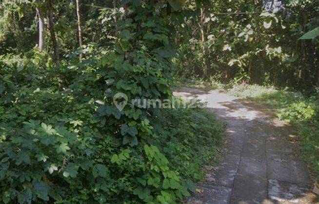 Dijual tanah SHM pekarangan di Selatan candi ratu Boko Prambanan 2