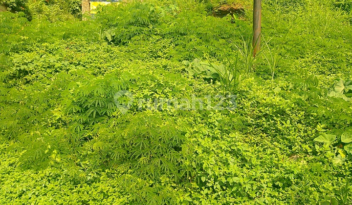 Dijual Tanah Strategisuntuk Kost Villa di Ciumbuleuit Dkt Unpar