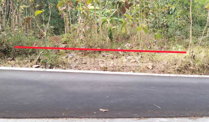 Dijual SHM Pekarangan di Donomulyo Nanggulan Sentolo Kulonprogo Dijual SHM Pekarangan di Donomulyo Nanggulan Sentolo Kulonprogo