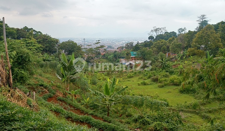 For Sale Cheap Land Plot in Pasirwangi Ujungberung with City View For Sale Cheap Land Plot in Pasirwangi Ujungberung with City View