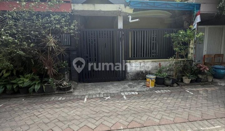 DIJUAL RUMAH SEMAMPIR DIJUAL RUMAH SEMAMPIR