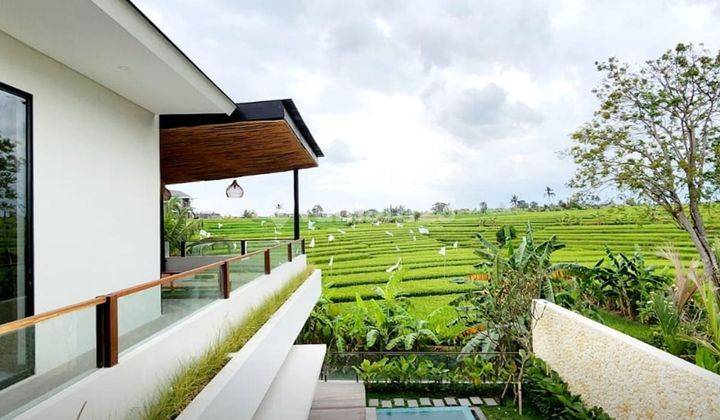 Dijual Luxury Villa Brand New Di Pererenan View Ricefield 2