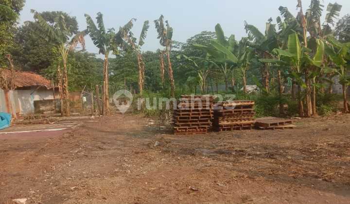 Tanah Disewakan MURAH! Pedurenan Jatiluhur Jatiasih Bekasi Jawa Barat 7