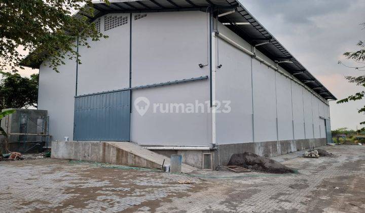 Gudang Baru Disewakan di Randu Garut Mangkang Ada Loading Dock  2