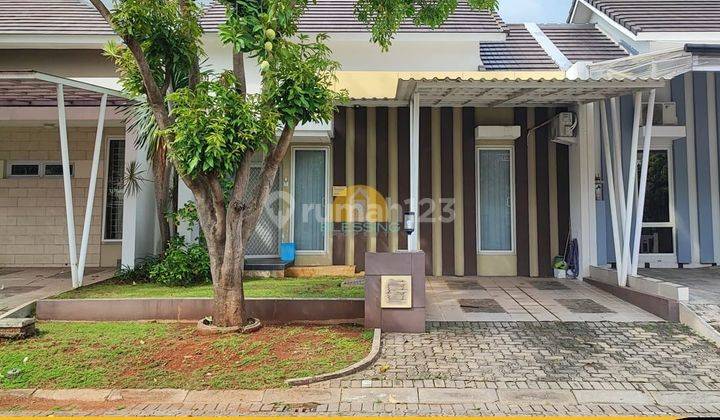 Rumah Cluster Bagus Siap Huni Rafflesia Graha Padma Semarang Barat 1