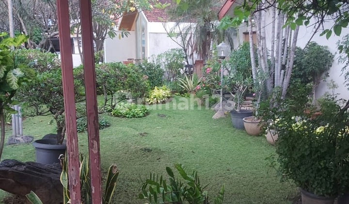 Rumah Bagus Siap Huni Strategis di Jalan Erlangga 2