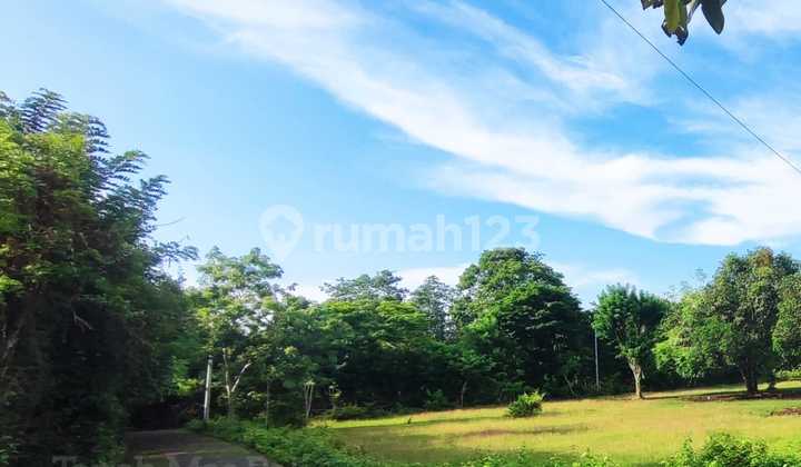 Disewakan Tanah Strategis Luas 1 Hektar Di Puri Gading Wn