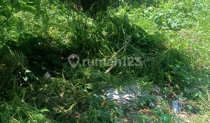 Tanah 5.5 Are Pinggir Jalan Raya Sempol Canggu Ind+1