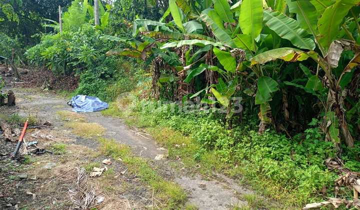 Land 3 Are SHM Near Saba Gianyar Beach Ekkwan