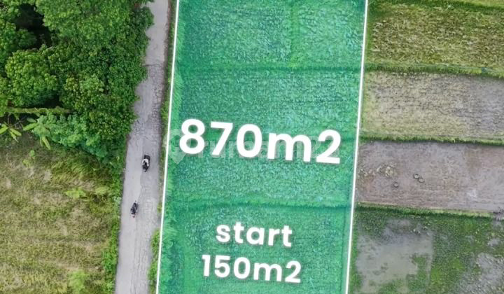 Lahan 8.7 Are SHM di Lingkungan Villa Dekat Pantai Nyanyi Cn