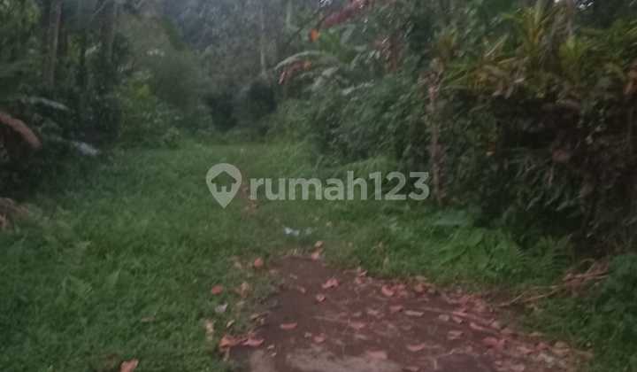 Tanah 23 Are Shm Dekat Pantai Soka Jam Tanah 23 Are Shm Dekat Pantai Soka Jam