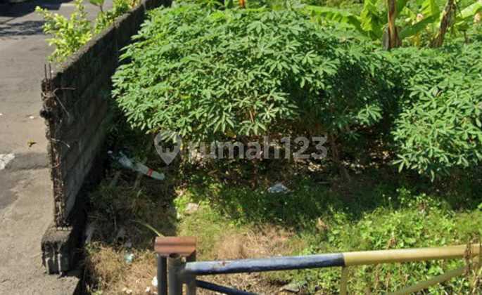 Tanah 4.6 Are Posisi Hook di Badak Agung Renon Cn