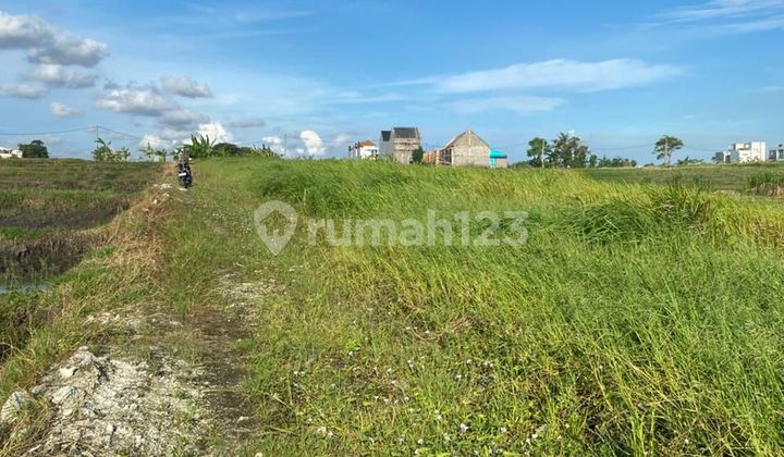 Tanah Premium 2.24 Are Dekat Pantai Mengening Cemagi Yg
