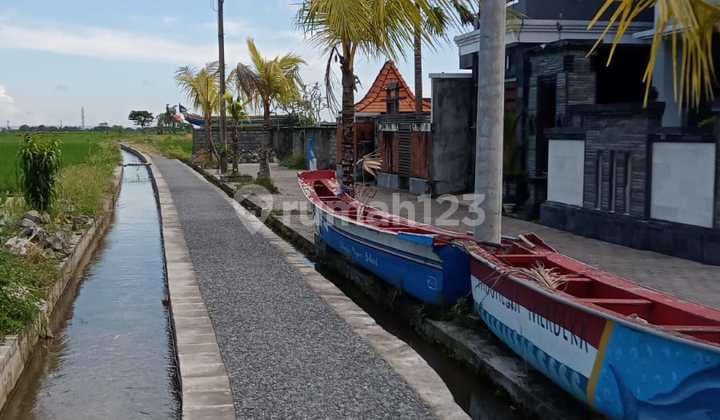 Fully Furnished House with Rice Field View Near Puspem Badung Cn 2