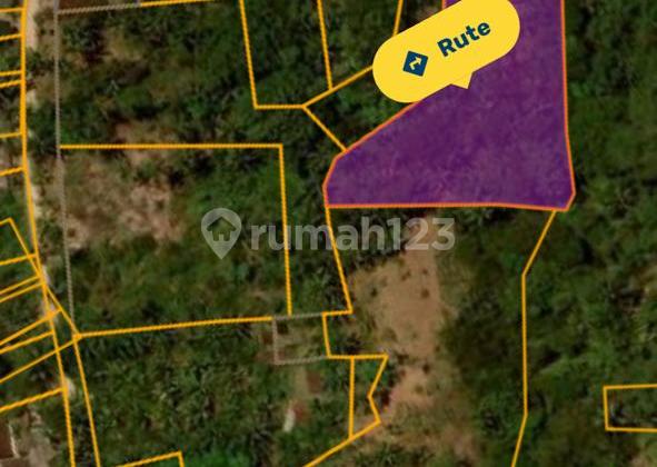 Strategic Land 120 Are SHM in Penebel Dk