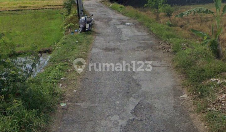 Murah Tanah 13.5 Are SHM Dekat Pantai Seseh Gp Murah Tanah 13.5 Are SHM Dekat Pantai Seseh Gp