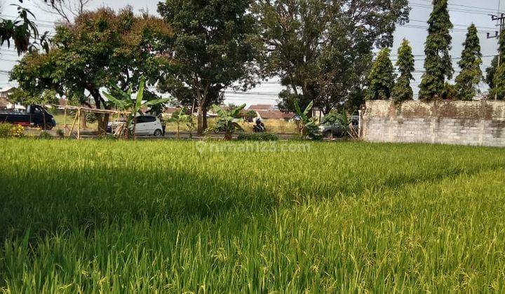 Tanah Sawah Strategis Di Jalan Raya Soreang Banjaran 1