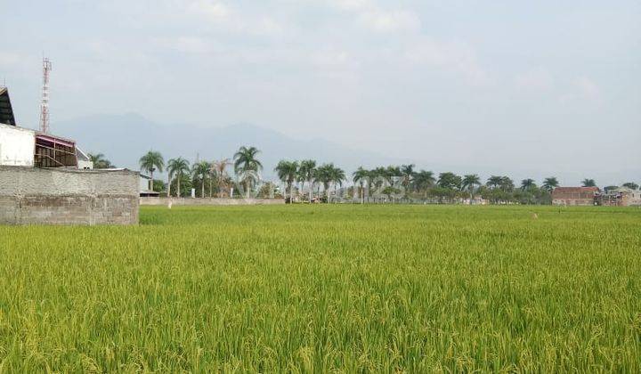 Tanah Sawah Strategis Di Jalan Raya Soreang Banjaran 2