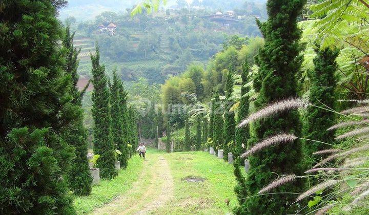 Tanah Padat Siap Bangun Hotel Villa Di Dago Pakar Bandung Utara 1