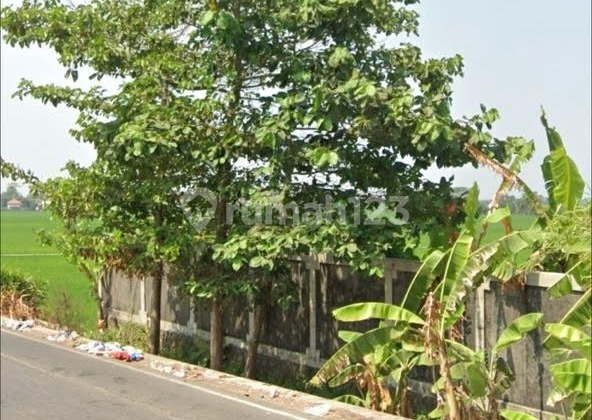 Strategic Land for Warehousing in Widasari, Indramayu