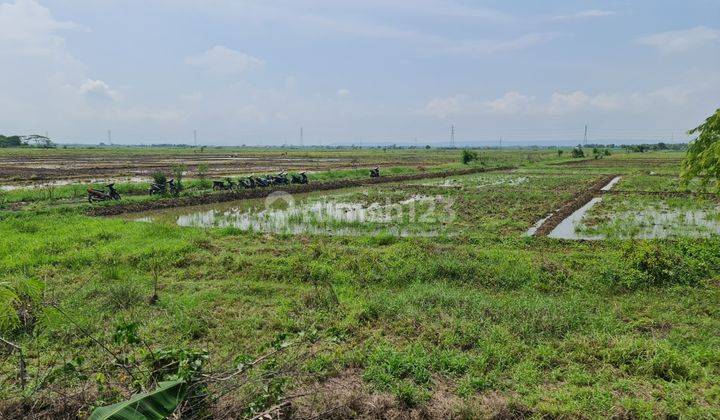 Tanah Untuk Gudang Dan Pabrik Di Rawaurip Pangenan Cirebon 2