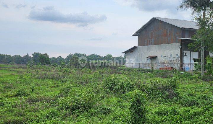 Tanah Strategis Harga Sangat Murah Di Haurgeulis Indramayu 2