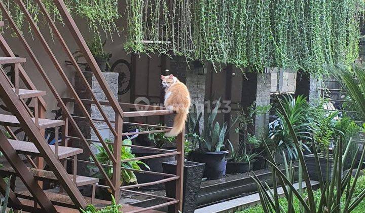 Rumah 2 Lantai Apik Dan Asri Di Villa Indah Panembahan Cirebon 1