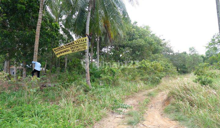 Dijual Murah Tanah SHM 57.358 M², Daerah Pantai Trikora.  5