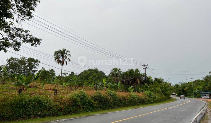 Dijual Murah Tanah SHM 11584 Meter, Pinggir Jalan Raya, Strategis 3