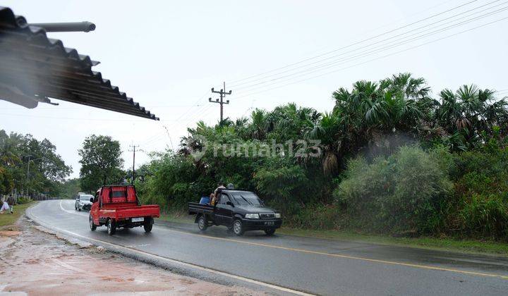 Dijual Murah Tanah SHM 11584 Meter, Pinggir Jalan Raya, Strategis 5