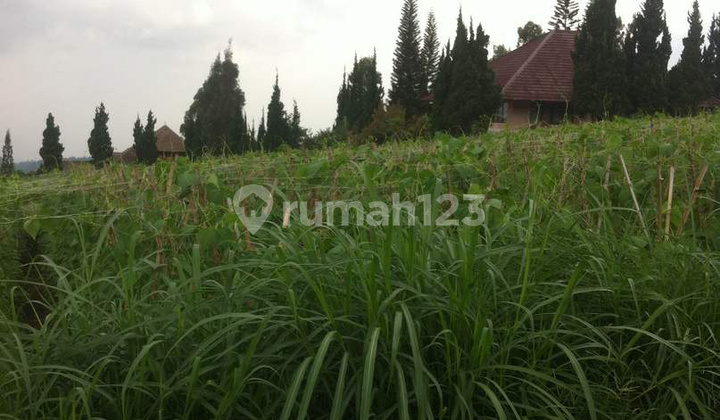 Tanah Lembang Asri Lokasi Bagus