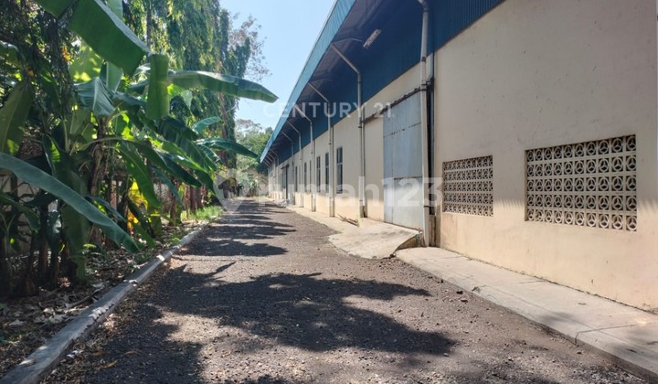 Warehouse and Office in Pantura Suradadi Tegal Warehouse and Office in Pantura Suradadi Tegal