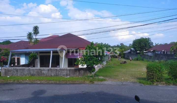 Rumah Dengan Tanah Luas Shm Berikut Kost2an Di Jalan Pak Mangga Belitung Rumah Dengan Tanah Luas Shm Berikut Kost2an Di Jalan Pak Mangga Belitung