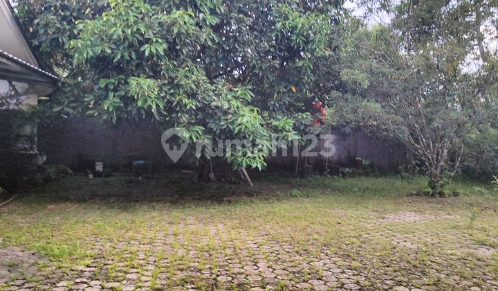 House With Large Yard on Jl Suka Makmur 2