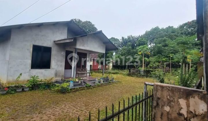 Rumah di Jual Dgn Pekarangan Luas di Kec Gerunggang Rumah di Jual Dgn Pekarangan Luas di Kec Gerunggang