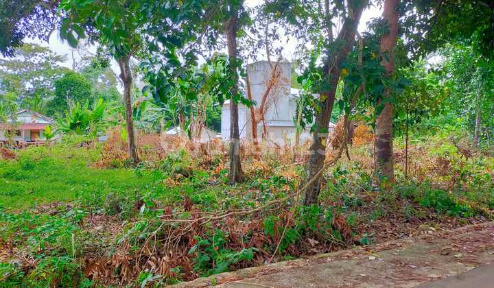 Tanah Dekat Pantai - Rare Opportunity Di Tanjung Binga, Belitung! Tanah Dekat Pantai - Rare Opportunity Di Tanjung Binga, Belitung!