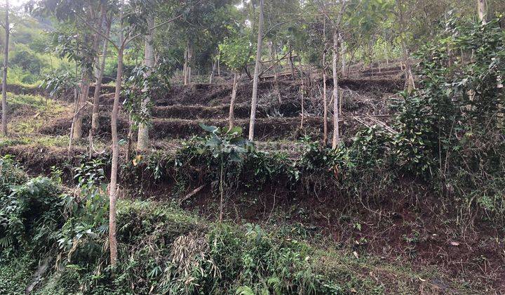 Tanah Luas Cocok Dibuat Kebun di Cisalak, Banjaran 2