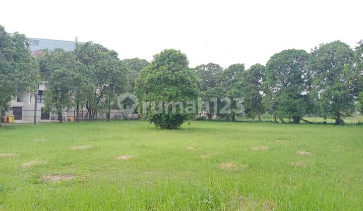 Dijual Tanah Kavling Kebagusan Dibawah NJOP Sangat Murah