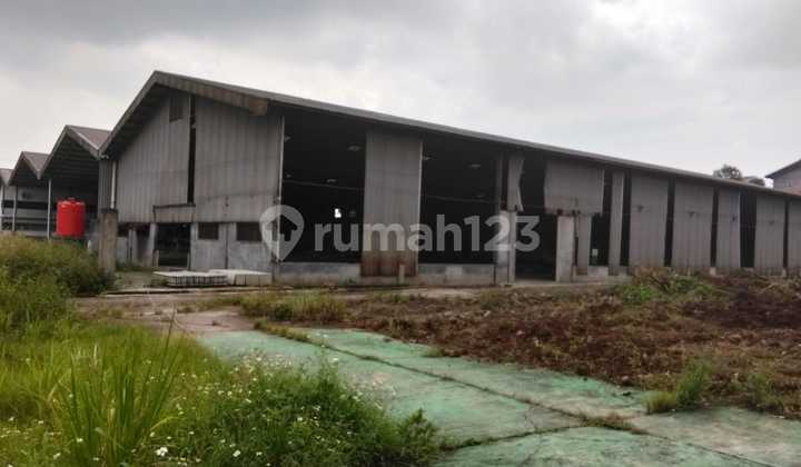 For Rent Hot Listing New Building Warehouse Strategic Location in Cikarang Industrial Zone Warehouse and Factory