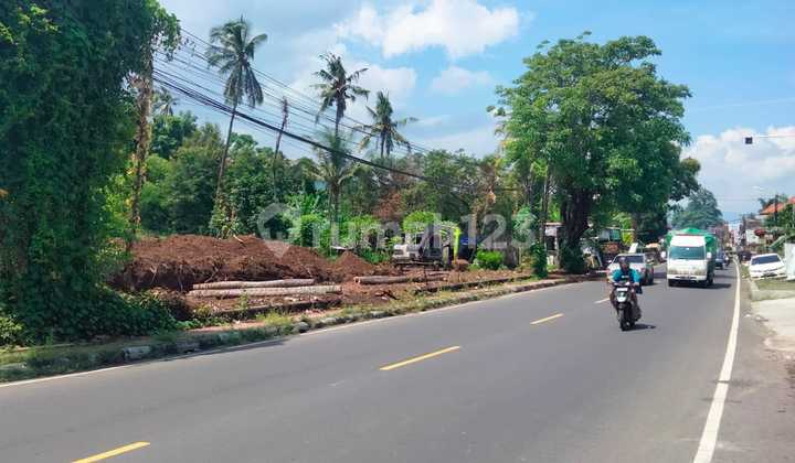 Dijual  Super murah Tanah Di pusat wisata Lovina Buleleng Bali. Luas tanah 6700m2  SHM 2