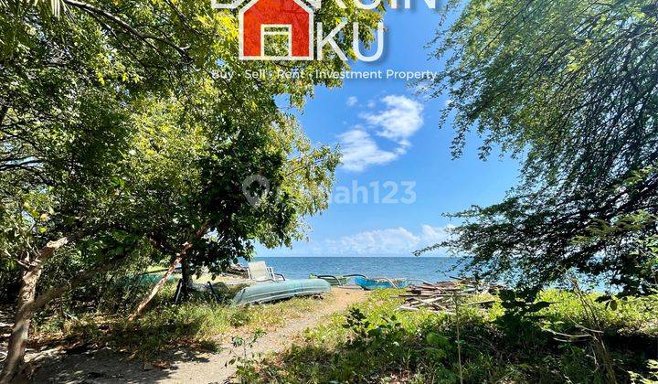 Dijual Tanah SHM Ocean & Mountain View Di Raya Pasir Putih, Situbondo, Jatim 5
