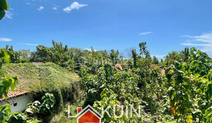 Dijual Tanah SHM Ocean & Mountain View Di Raya Pasir Putih, Situbondo, Jatim 12
