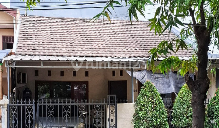 Rumah 1 Lantai Bebas Banjir Pegangsaan Indah Kelapa Gading Rumah 1 Lantai Bebas Banjir Pegangsaan Indah Kelapa Gading