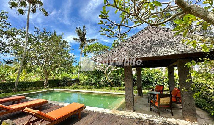 Modern Balinese Villa Offers A Luxurious Retreat In Kedungu.  2