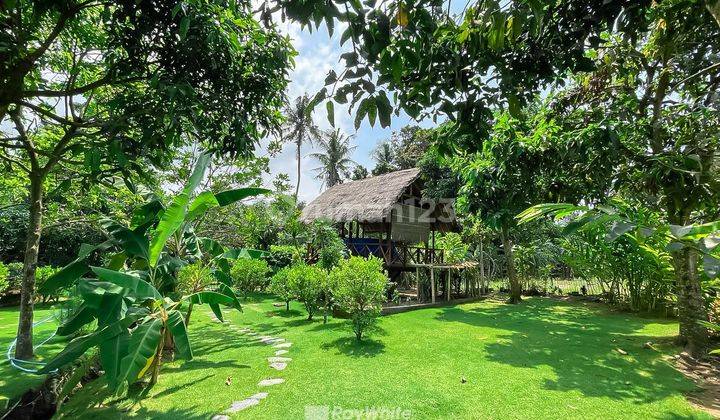  Luxury Hidden Gem In Canggu  2